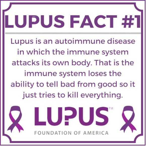 Meet your Posher, Shay - Picture 4 of 14